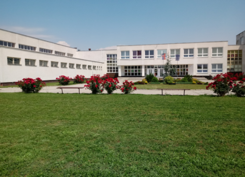 škola
